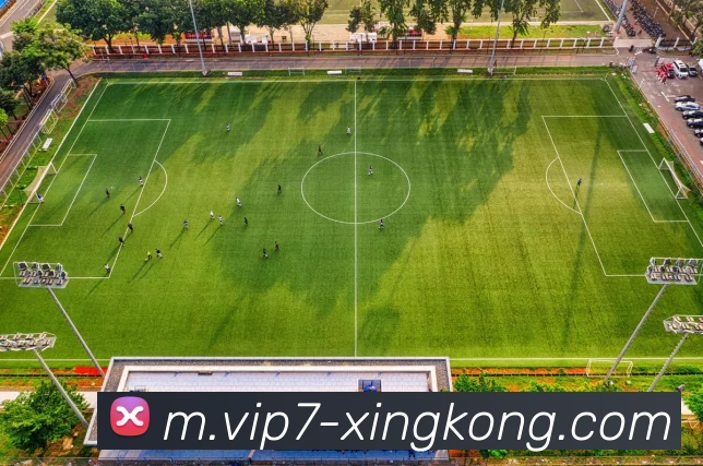 星空体育平台生态图