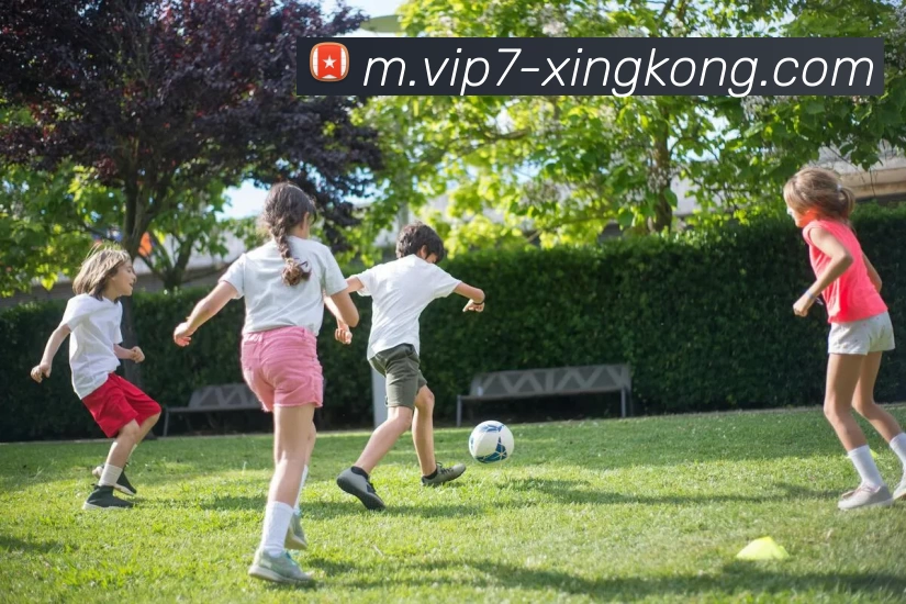 星空体育APP 封面图